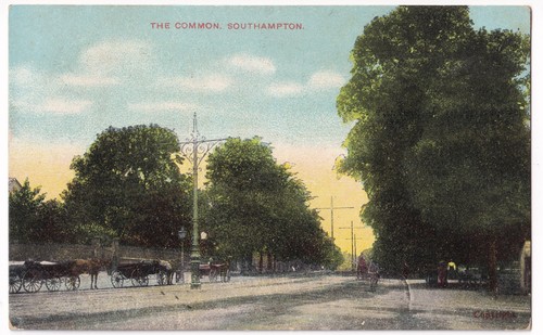 The common southampton - the,