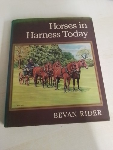 Horses harness today by - in,