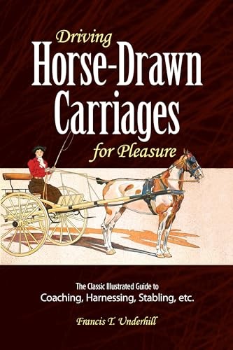 Driving horse drawn carriages - horse-drawn,