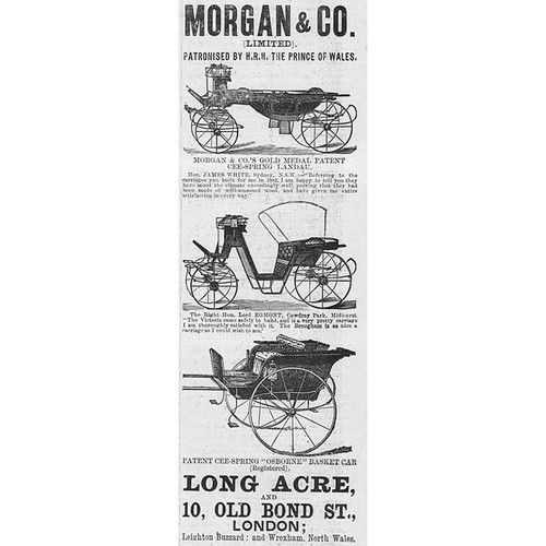 Morgan horse carriages - &, co