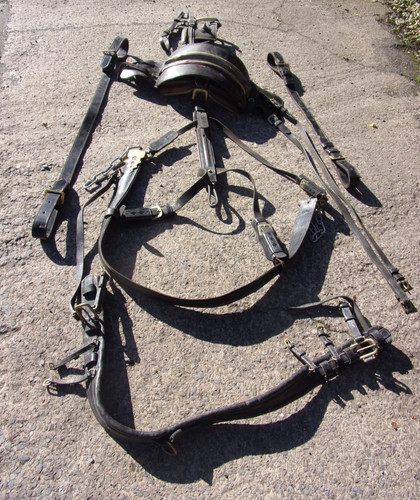 Horse drawn carriage harness - drawn,