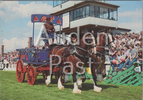 Horse drawn carriage - drawn, at