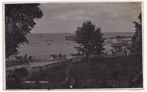 The pier swanage dorset - pier, horse