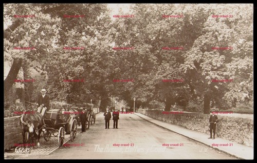 The avenue betws coed north - the,