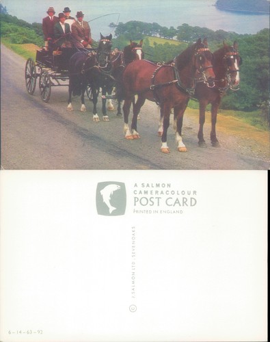 Horse drawn carriage salmon - j,