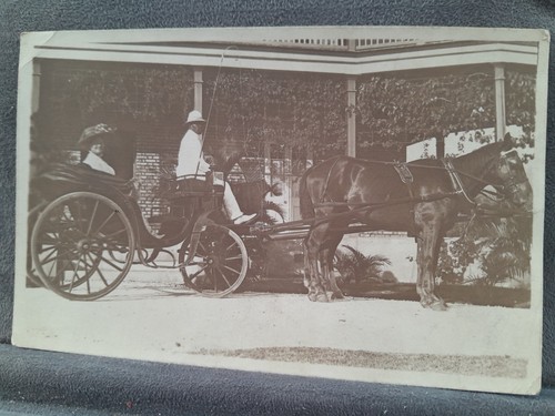 Horse carriage unknown - horse,