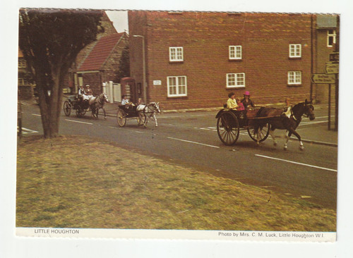 Little houghton horse - houghton,