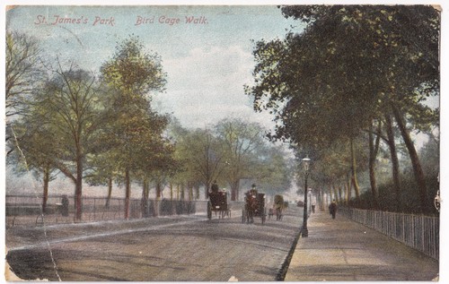 James park bird cage - bird,