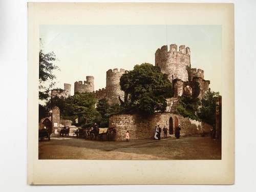 Conway castle wales horse - wales,